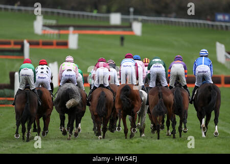 Coureurs et cyclistes dans l'Albert Bartlett Novices' Hurdle durant la journée de la Gold Cup 2017 Cheltenham Festival à l'Hippodrome de Cheltenham. Banque D'Images