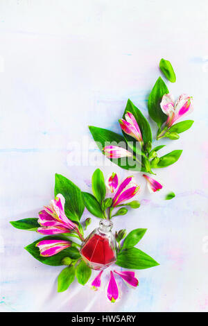 Dessin de fleurs avec une bouteille en verre, les feuilles et les pétales sur un fond de bois blanc Banque D'Images