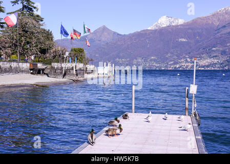 Menaggio, Italie - 10 mars 2017 : le lac à l'avant sur l'Italie Menaggio Banque D'Images