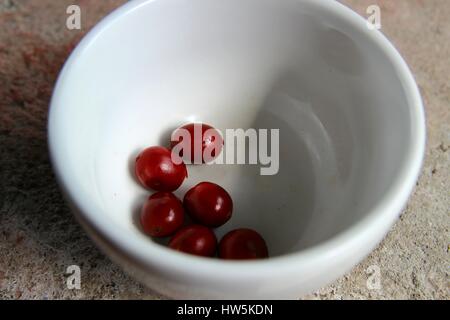 Libre de matières les cerises de café dans une petite tasse blanche Banque D'Images