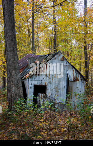 Ancienne grange dans les bois en automne Banque D'Images