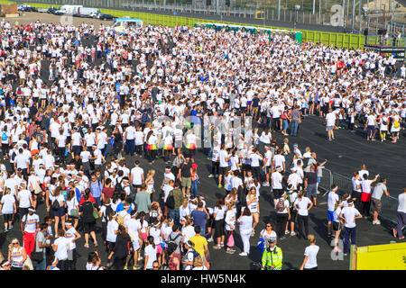 Color run, London, UK Banque D'Images