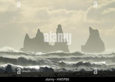 Les piles de la mer de Reynisdrangar, Islande vagues se brisant sur Renisfjara plage en face de l'basaltiques de Reynisdrangar, le sud de l'Islande Banque D'Images