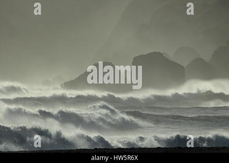 Les piles de la mer de Reynisdrangar, Islande vagues se brisant sur Renisfjara plage en face de l'basaltiques de Reynisdrangar, le sud de l'Islande Banque D'Images