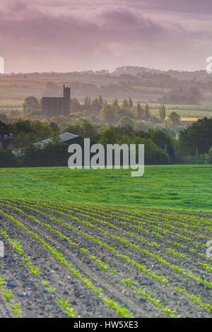 Le Danemark, Mon, Borre, augmentation de la vue sur le village Banque D'Images