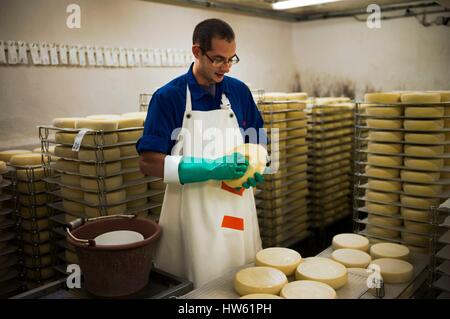 France, Savoie, Plancherine, de montagnes des Bauges, monastère cistercien de Notre-Dame de Tamié, maturation du fromage Banque D'Images