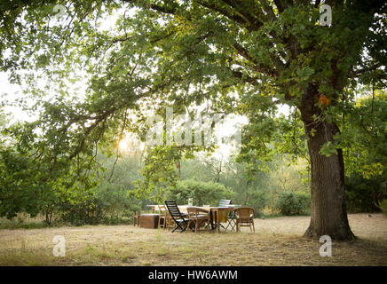 Les repas en plein air en Toscane, Italie. Banque D'Images