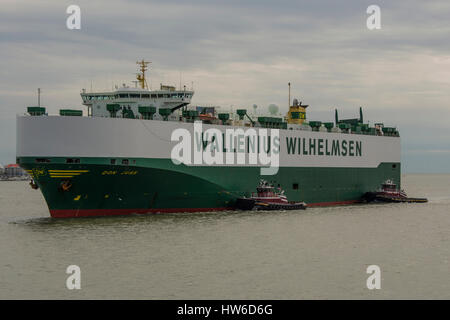 Ro, Ro cargo, Don Juan, administré par Wallenius Wilhelmsen, étant assisté par deux remorqueurs McAlister au cours de l'amarrage dans le port de Charleston, SC, États-Unis d'Amérique Banque D'Images