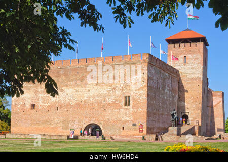 La brique gothique flatland 15e siècle château de Gyula en Hongrie Banque D'Images