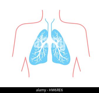 Icône de la poumons humains. Icône dans le style linéaire Illustration de Vecteur