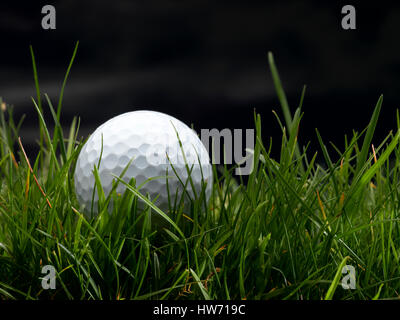 Balle de golf dans l'herbe haute Banque D'Images