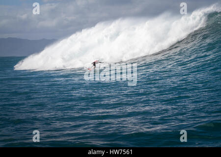 Un surfeur monte un grand océan vagues sur la côte nord d'Oahu Hawaii près de Haleiwa Banque D'Images