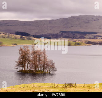 Arbres dans le Loch Freuchie donnant sur les collines de Glen Almond, Strath Braan, Village d'Amulree à distance. Glen The Quaich Aberfeldy et au nord. Banque D'Images