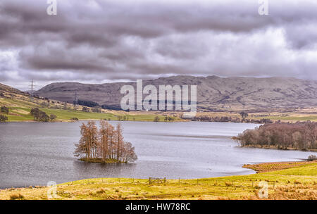 Arbres dans le Loch Freuchie donnant sur les collines de Glen Almond, Strath Braan, Village d'Amulree à distance. Glen The Quaich Aberfeldy et au nord. Banque D'Images