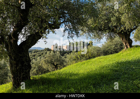 Vue sur le château d'Androussa dans le Péloponnèse, Grèce Banque D'Images