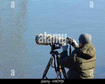 Photographe s'apprête à photographier le pygargue à tête blanche au barrage de conowingo Banque D'Images