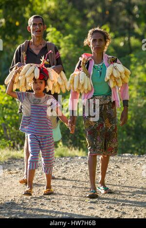 L'Indonésie, Timor Occidental, au sud du Timor central Regency, Nenas, Gunung Mutis Nature Reserve, les agriculteurs à revenir des champs Banque D'Images