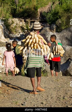 L'Indonésie, Timor Occidental, au sud du Timor central Regency, Nenas, Gunung Mutis Nature Reserve, les agriculteurs à revenir des champs Banque D'Images