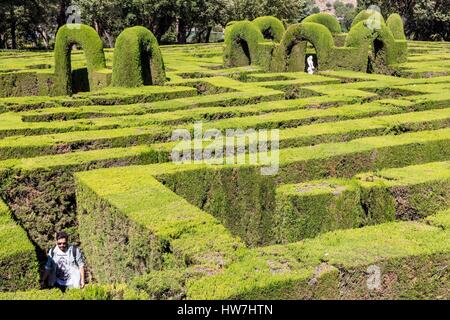 Espagne, Catalogne, Barcelone, l'Horta del Laberint d'Horta parc dessiné en 1792 par l'ingénieur italien Domenico Scribar 18 et ouvert au public en 1971, maze Banque D'Images