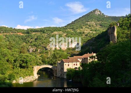 La France, l'Aveyron, les Causses et les Cévennes, paysage culturel agropastoraux méditerranéens, classé au Patrimoine Mondial de l'UNESCO, La Vallée de la Dourbie, Parc Naturel Régional des Grands Causses, La Roque Ste Marguerite, le Moulin de Corp (Moulin de corp) Banque D'Images