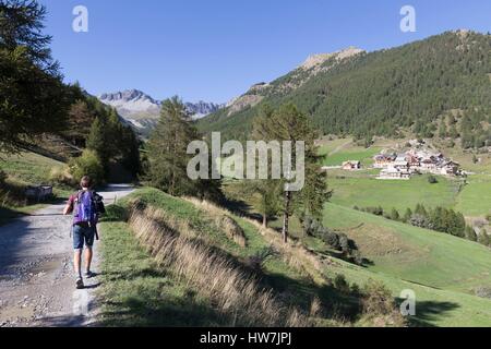 France, Hautes Alpes, Parc Naturel Régional du Queyras (Parc Naturel Régional du Queyras), le hameau de souliers (1820m), la randonnée sur le chemin du lac de Roue Banque D'Images