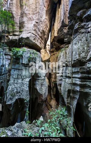 Madagascar, région du Nord-Ouest, Tsingy de Bemaraha, classé au Patrimoine Mondial par l'UNESCO Banque D'Images