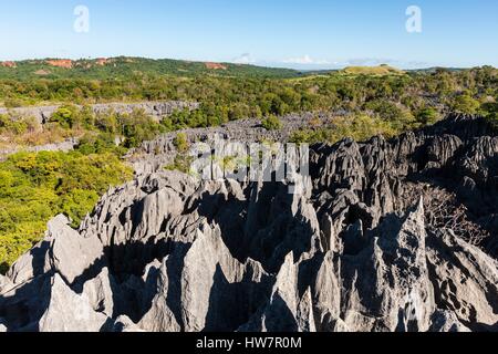 Madagascar, région du Nord-Ouest, Tsingy de Bemaraha, classé au Patrimoine Mondial par l'UNESCO Banque D'Images