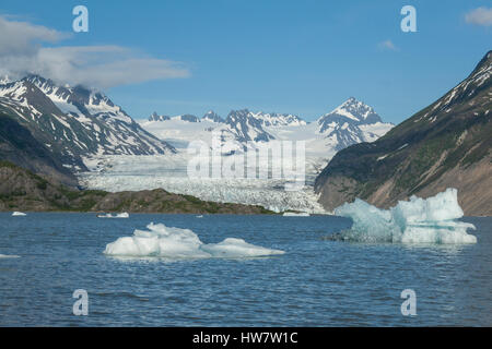 Grewingk Glacier et lagon de Kachemak Bay State Park, Alaska Banque D'Images