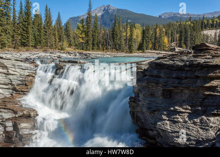 Rainbow au chutes Athabasca, parc national de Jasper, Canada. Banque D'Images