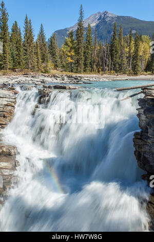 Rainbow au chutes Athabasca, parc national de Jasper, Canada. Banque D'Images