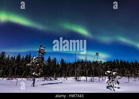 Nuit de neige en Finlande Banque D'Images