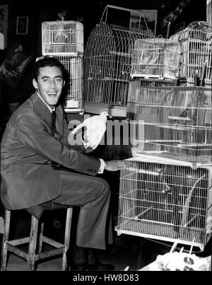 24 octobre 1958 - Oiseaux d'accompagner le chanteur Crooner italien considérant : Raoul Magrini est maintenant à Paris avec son ''oiseaux'' qui l'accompagne. Magrini a fait un hit en chantant ses chansons à l'accompagnement de chant d'oiseau. OPS. : Raoul Magrini avec son chant des oiseaux à Paris. (Crédit Image : © Keystone Press Agency/Keystone USA par ZUMAPRESS.com) Banque D'Images