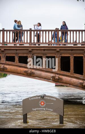 France, Paris, région classée au Patrimoine Mondial de l'UNESCO, l'inondation de la Seine le 3 juin 2016 avec une hauteur de 5,80m, le Pont au Double avec note de la Cathédrale Notre-Dame, quai de Montebello Banque D'Images