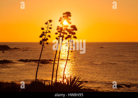 Au lever du soleil, la plage de Mijas. La province de Malaga. Costa del Sol, Andalousie Espagne du Sud.L'Europe Banque D'Images