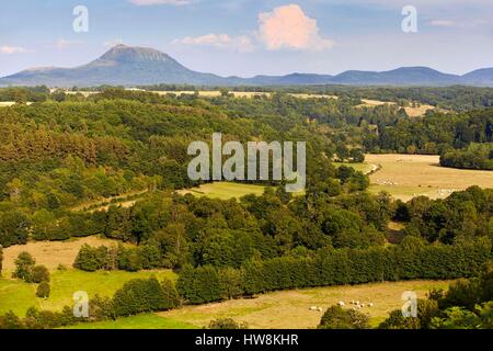 France, Puy de Dome, Saint Pierre le Chastel, Parc Régional des Volcans d'Auvergne, Puy de Dôme et des volcans de la chaîne des Puys Banque D'Images