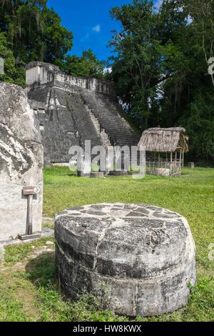 Peten au Guatemala, département, parc national de Tikal, site du patrimoine mondial de l'UNESCO, l'acropole nord Banque D'Images