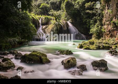 Guatemala, département d'Alta Verapaz, Lanquin, le site naturel de Semuc Champey, Cahabon le long de la rivière à 300 mètres des cascades et des piscines naturelles d'eau turquoise Banque D'Images