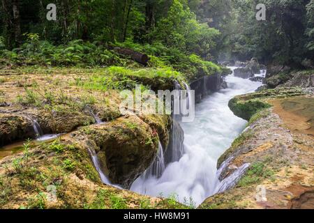 Guatemala, département d'Alta Verapaz, Lanquin, le site naturel de Semuc Champey, Cahabon le long de la rivière à 300 mètres des cascades et des piscines naturelles d'eau turquoise Banque D'Images