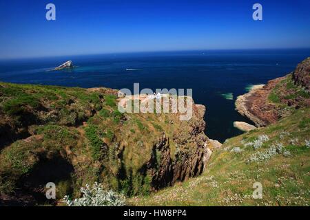 France, Cotes d'Armor, les falaises de Cap Fréhel sur la Côte d'Émeraude Banque D'Images