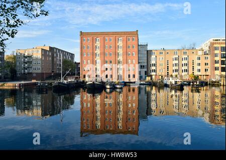 Pays-bas, le nord de la Hollande, Amsterdam, Plantage, quartier des entrepôts converti sur le canal Entrepotdok, réhabilité dans les années 80 Banque D'Images