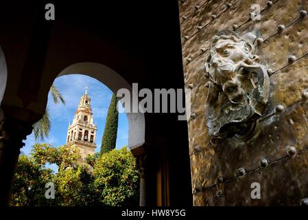 Espagne, Andalousie, Cordoue, centre historique classé au Patrimoine Mondial de l'UNESCO, le clocher de la cathédrale mosquée (mezquita) vue depuis la porte de Santa Catalina (Puerta de Santa Catalina) et de l'Oranger cour intérieure (Patio de los Naranjos) Banque D'Images