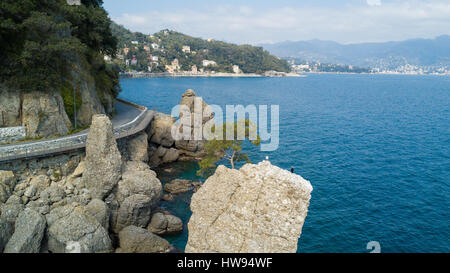 Cadrega's rock, pin maritime arbre, vue aérienne, le bord de l'eau entre Santa Margherita Ligure et Portofino, Paraggi, ligurie, italie Banque D'Images