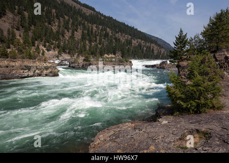 Kootenai Falls, près de la rivière Kootenai Libby, Montana, USA Province Banque D'Images