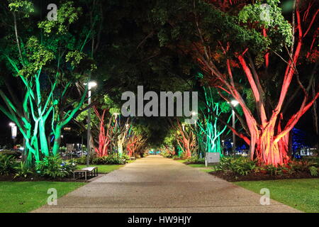 Des cairns et lumineux aux couleurs de la nuit couvert d'arbres à pied de la marina et de la jetée sur le passé dans une lagune, à l'Esplanade Banque D'Images
