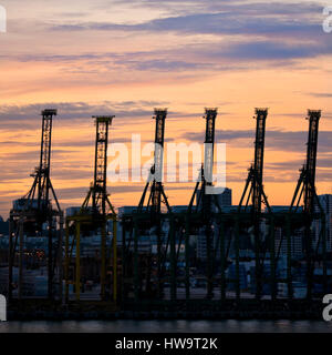 Vue sur place de Tanjong Pagar Container Terminal à Singapour au coucher du soleil. Banque D'Images