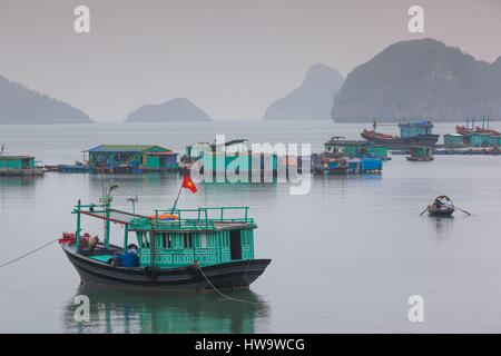 Vietnam, Ile de Cat Ba, Cat Ba Town, bateaux de pêche, elevated view Banque D'Images