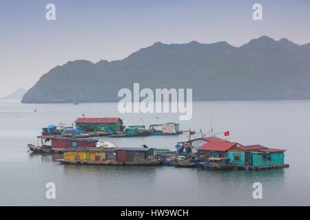 Vietnam, Ile de Cat Ba, Cat Ba Town, bateaux de pêche, elevated view Banque D'Images