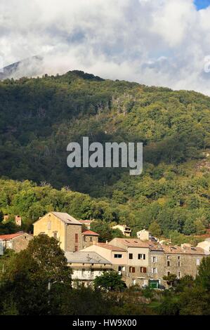 France, Corse du Sud, dans la vallée du fleuve Prunelli Bastelica Banque D'Images