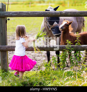 Petite fille jouant avec la mère et l'enfant des chevaux aux beaux jours d'été dans le pays. L'alimentation de l'enfant et son poulain animal. Les enfants s'occuper des animaux domestiques animaux Banque D'Images