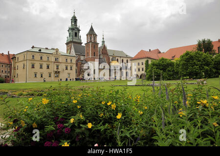 Le château de Wawel, la cour Renaissance à arcades au centre de Château Royal de Wawel à Cracovie, Pologne, la cathédrale de Wawel, l'UNESCO Banque D'Images